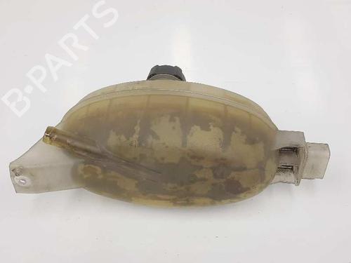 Expansion tank NISSAN PRIMASTAR Van (X83) 2.0 dCi 115 | BP7170129C120 