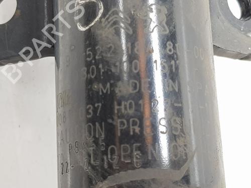 Right front shock absorber FIAT DOBLO MPV (510_, 511_, 360_, 361_) BlueHDi 100 | BP17572253M17 