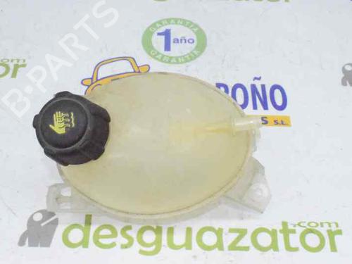 Deposito expansion DACIA LOGAN Pickup (US_) 1.5 dCi (75 hp) 217107259R | 217104354R | 217104354R |