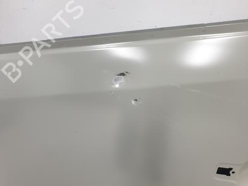 Left front door RENAULT TRAFIC III Bus (JG_)  | BP21003681C2 