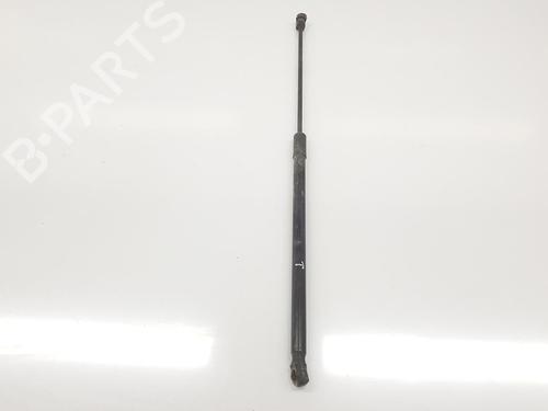 Tailgate lift support MERCEDES-BENZ GLC (X253) 250 d 4-matic (253.909) | BP14101699C138 