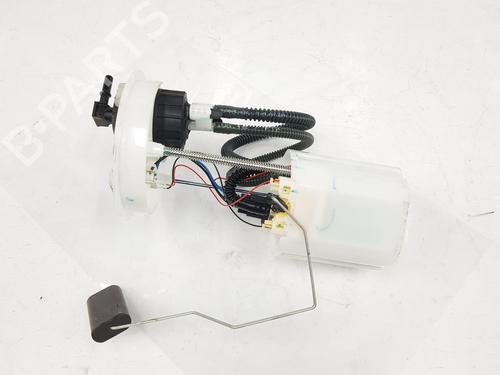 Fuel pump FORD ECOSPORT 1.0 EcoBoost | BP6813976M76 