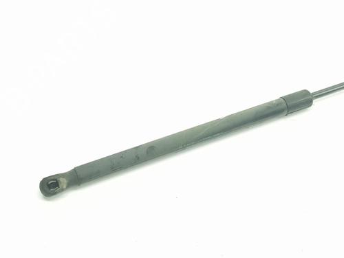 Tailgate lift support SEAT ALTEA (5P1) 1.9 TDI | BP16534450C138 