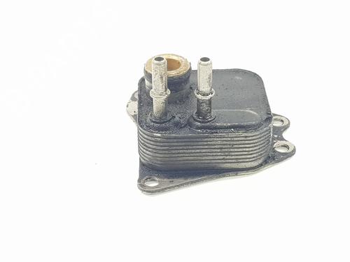 Oil radiator LAND ROVER RANGE ROVER SPORT I (L320) 2.7 D 4x4 | BP24615110M33 