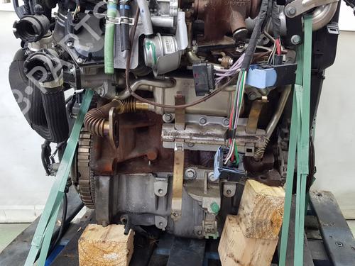 Engine RENAULT KANGOO / GRAND KANGOO II (KW0/1_) 1.5 dCi 75 (KW07, KW10, KW04) | BP34438565M1  - Image 21