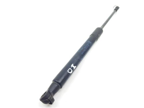 Hood lift support BMW X1 (E84) sDrive 18 d | BP17360884C139 
