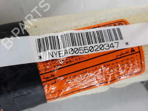 Left curtain airbag NISSAN PATHFINDER III (R51) 2.5 dCi | BP1898123C11 