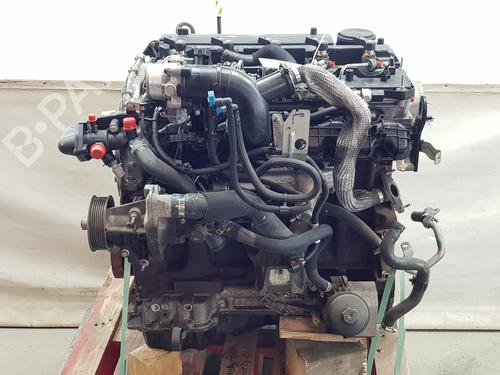 Engine FORD RANGER (TKE) 3.2 TDCi 4x4 | BP36185908M1 - Image 2