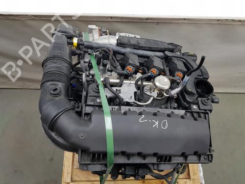 Used Engine JEEP AVENGER (J2) [2022-2025]  29906713