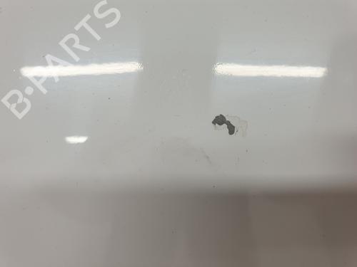 Hood NISSAN INTERSTAR Van (X62B) dCi 135 | BP27880785C1 