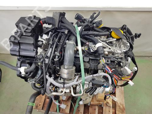Engine RENAULT AUSTRAL | BP32208665M1
