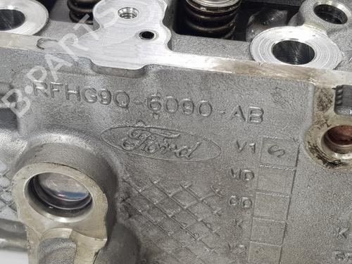 Cylinder head FORD TRANSIT V363 Van (FCD, FDD) 2.0 EcoBlue | BP31958054M5 