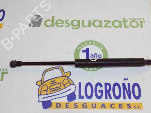 Hood lift support BMW 3 (E46) 320 i | BP14121490C139 