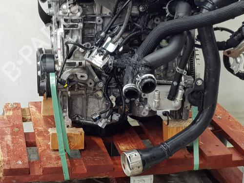 Engine RENAULT AUSTRAL  | BP32712975M1  - Image 14