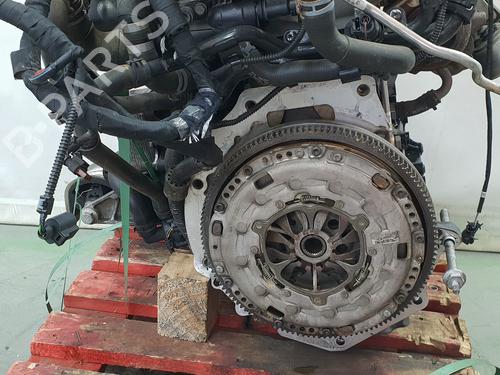 Motor VW TRANSPORTER T6 Van (SGA, SGH, SHA, SHH) 2.0 TDI | BP30593806M1