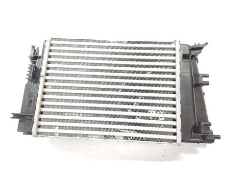 Intercooler RENAULT AUSTRAL  | BP34245688M30  - Image 6