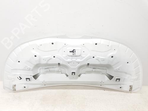 Hood RENAULT TRAFIC III Van (FG_) 1.6 dCi 140 (FGMA, FGMC) | BP30498562C1