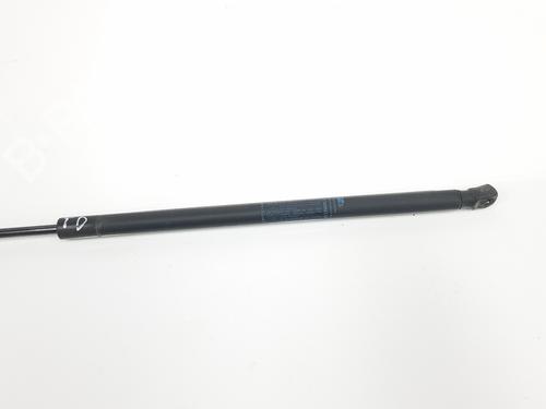 Tailgate lift support LANCIA DELTA III (844_) 1.6 D Multijet (844.AXC11, 844.AXC1A) | BP19111585C138 