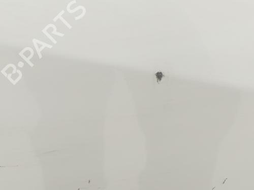 Right front door RENAULT TRAFIC III Van (FG_) 1.6 dCi 140 (FGMA, FGMC) | BP30144951C3 