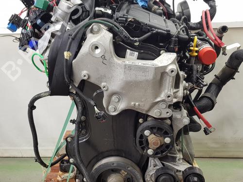 Engine NISSAN NV300 Van (X82)  | BP32328442M1 