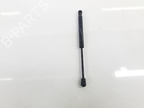 Hood lift support LAND ROVER RANGE ROVER EVOQUE (L538) 2.0 4x4 | BP14091685C139 