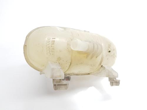 Expansion tank RENAULT TRAFIC III Van (FG_)  | BP29311555C120 