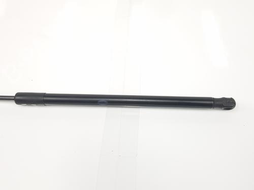 Tailgate lift support LAND ROVER RANGE ROVER EVOQUE (L538) 2.2 D | BP17169066C138 