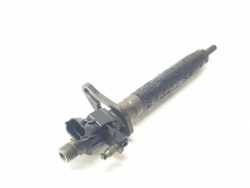 Inyector LAND ROVER RANGE ROVER SPORT II (L494) 3.0 TDV6 4x4 (258 hp) 33056482