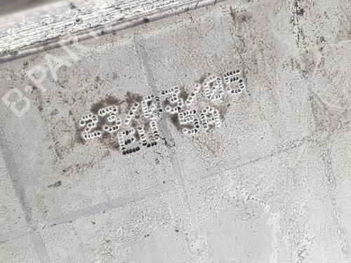 Outra LAND ROVER RANGE ROVER SPORT I (L320) 2.7 D 4x4 | BP24615075O1