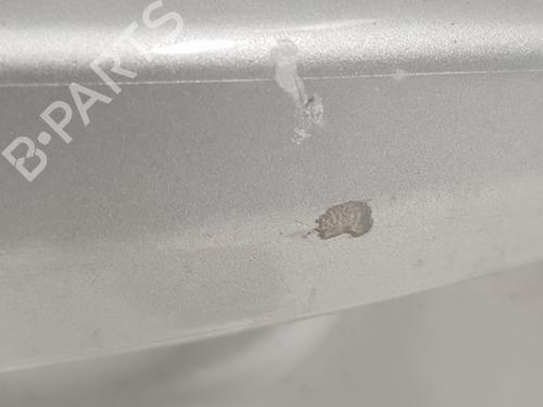 Right rear door BMW X3 (E83) xDrive 30 d | BP8812110C5 