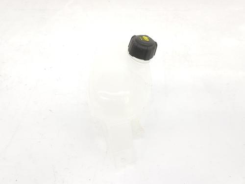 Expansion tank RENAULT MASTER III Platform/Chassis (EV, HV, UV) 2.3 dCi 135 FWD (EV0N, HV0N, UV0N, EV08, HV08, UV08) | BP9548029C120 