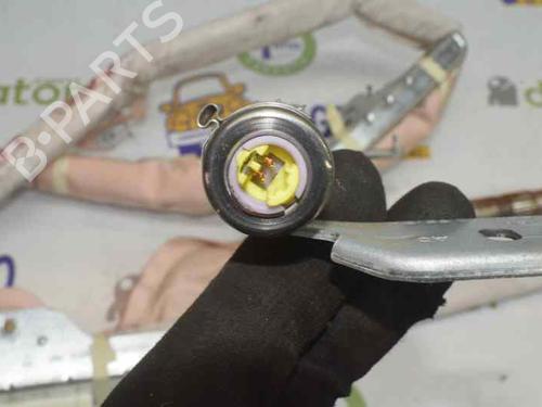 Right curtain airbag NISSAN PATHFINDER III (R51) 2.5 dCi | BP1289714C12 
