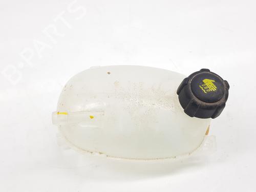 Ausgleichsbehälter für DACIA SANDERO III [2021-2026]  32738907