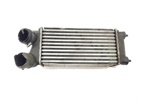 Used Intercooler CITROËN C4 II (NC_) 1.2 THP 130 (NCHNYM, NCHNYT) (130 hp) 29290801