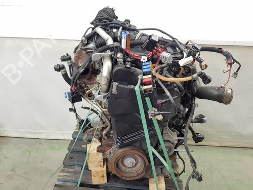 Engine RENAULT KANGOO / GRAND KANGOO II (KW0/1_) 1.5 dCi 75 (KW07, KW10, KW04) | BP34438565M1  - Image 11
