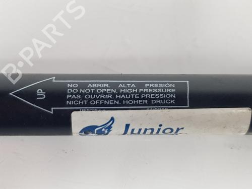 Tailgate lift support AUDI A3 Sportback (8PA) 2.0 TDI 16V | BP14104998C138 