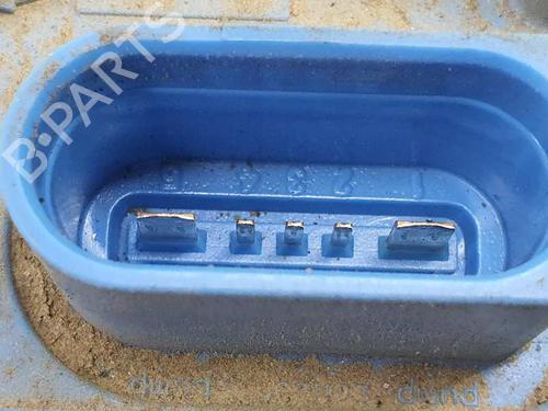 Fuel pump SEAT LEON (1P1)  | BP8175331M76 