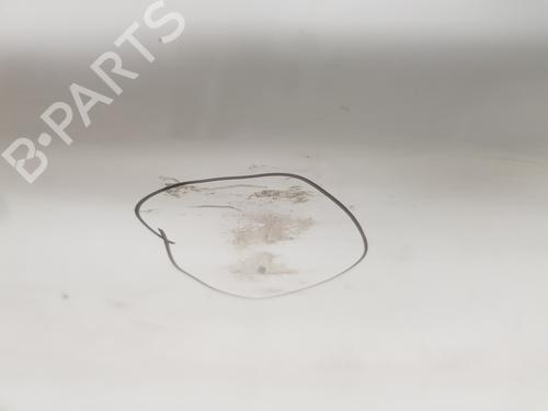 Left front door RENAULT TRAFIC III Van (FG_) 1.6 dCi 140 (FGMA, FGMC) | BP30682047C2