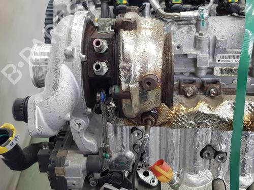 Engine ALFA ROMEO GIULIA (952_) 2.2 D (952AFA25, 952AFM25, 952ALA25) | BP35794847M1 - Image 3