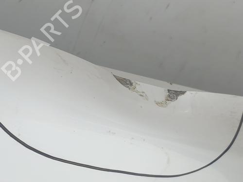 Right rear door RENAULT TRAFIC III Van (FG_) 1.6 dCi 140 (FGMA, FGMC) | BP29750810C5 