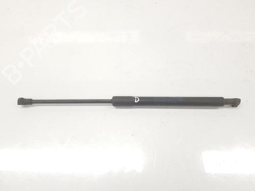 Tailgate lift support BMW 3 Touring (E91) 320 d | BP14100171C138 