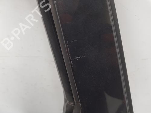 Left rear door RENAULT SCÉNIC III (JZ0/1_)  | BP26214807C4 
