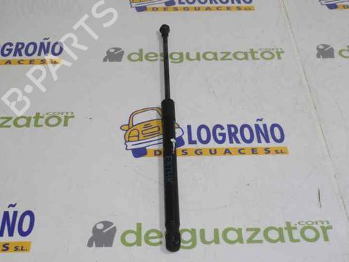 Tailgate lift support BMW 1 (E87) 116 d | BP14119795C138 