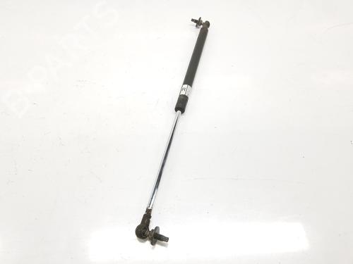 Hood lift support TOYOTA LAND CRUISER PRADO (_J12_) 3.0 D-4D (KDJ120, KDJ125) | BP14110096C139 