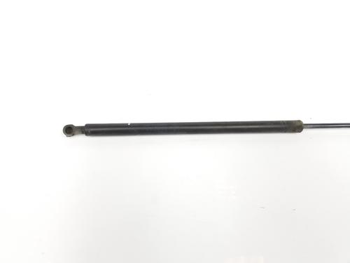 Tailgate lift support BMW X5 (E53) 3.0 d | BP14108319C138 