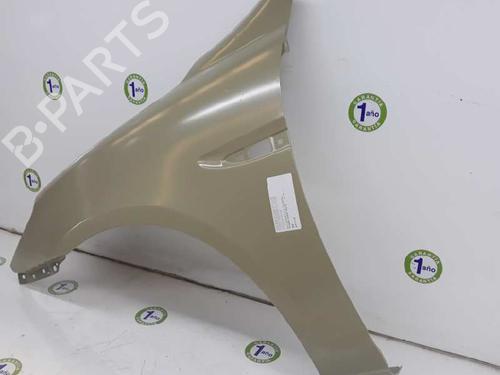 Left front fenders HYUNDAI ACCENT III (MC) 1.5 CRDi GLS | BP5410541C41 