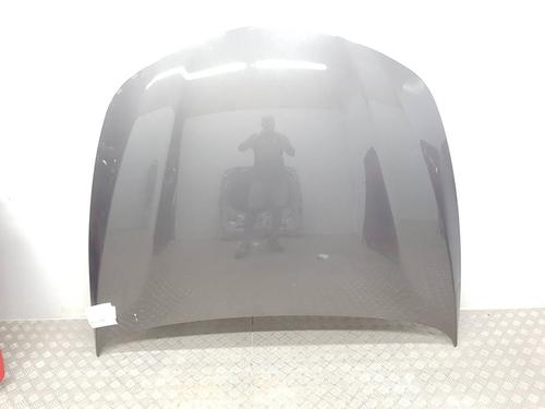 Used Hood Hood 39206999 39206999