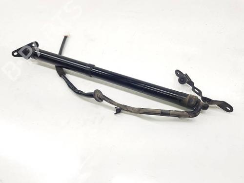 tailgate-lift-support-toyota-rav-4-iv-_a4_-2012-2013-2014-2015-2016-2017-2018-2019-40082711 main image