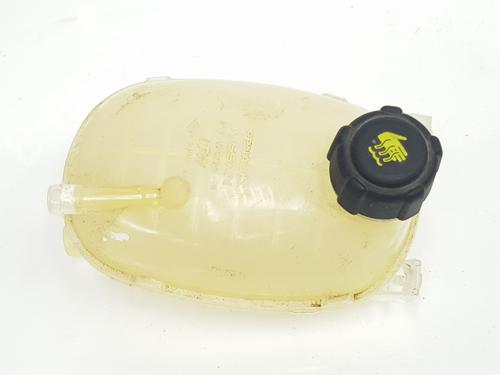 Expansion tank RENAULT CAPTUR II (HF_) E-TECH 145 (HFMU) | BP22315041C120 
