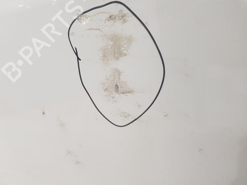 Left front door RENAULT TRAFIC III Van (FG_) 1.6 dCi 140 (FGMA, FGMC) | BP30682047C2